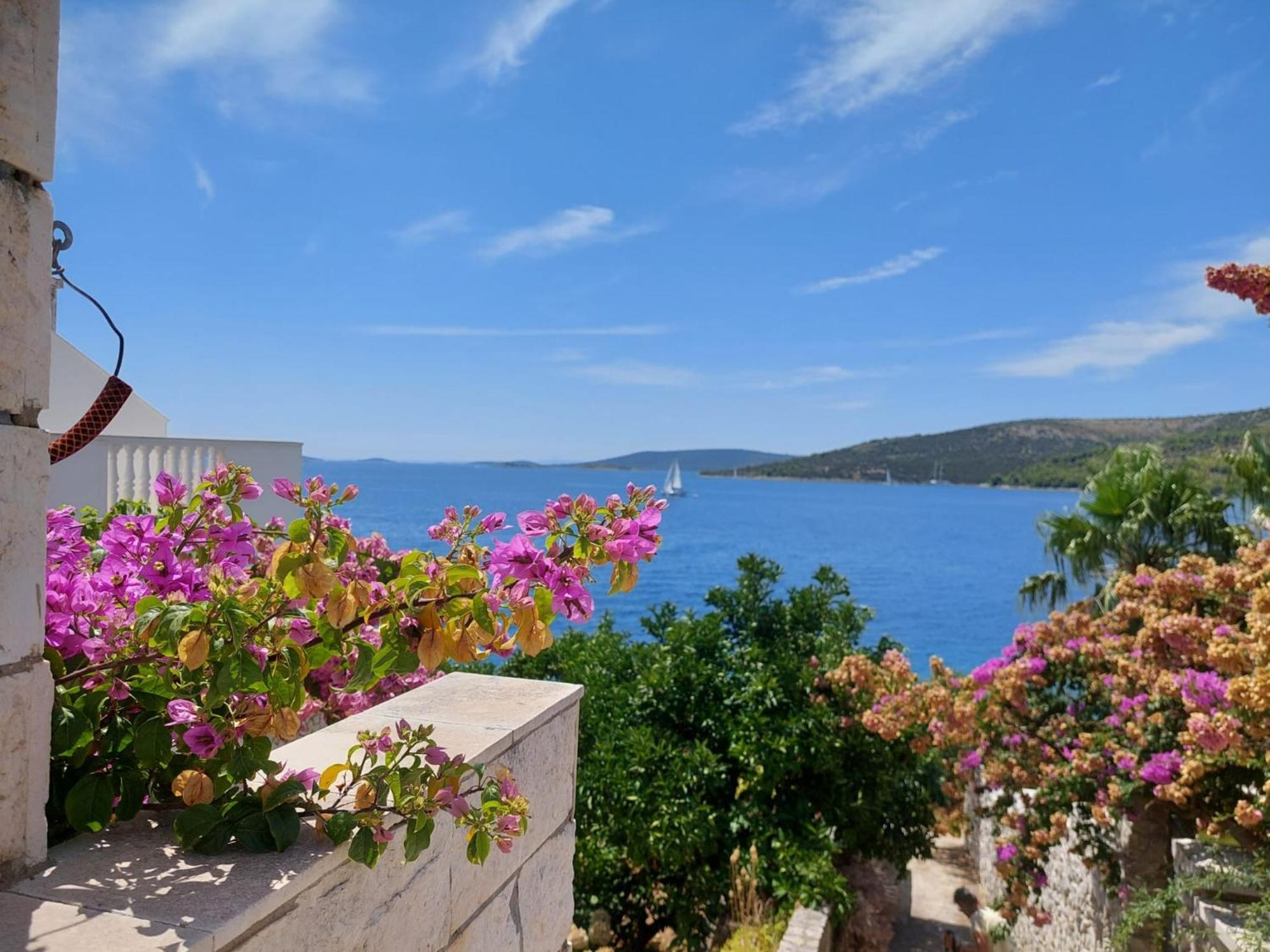 Villa Apartments Oliva Seget Vranjica Εξωτερικό φωτογραφία
