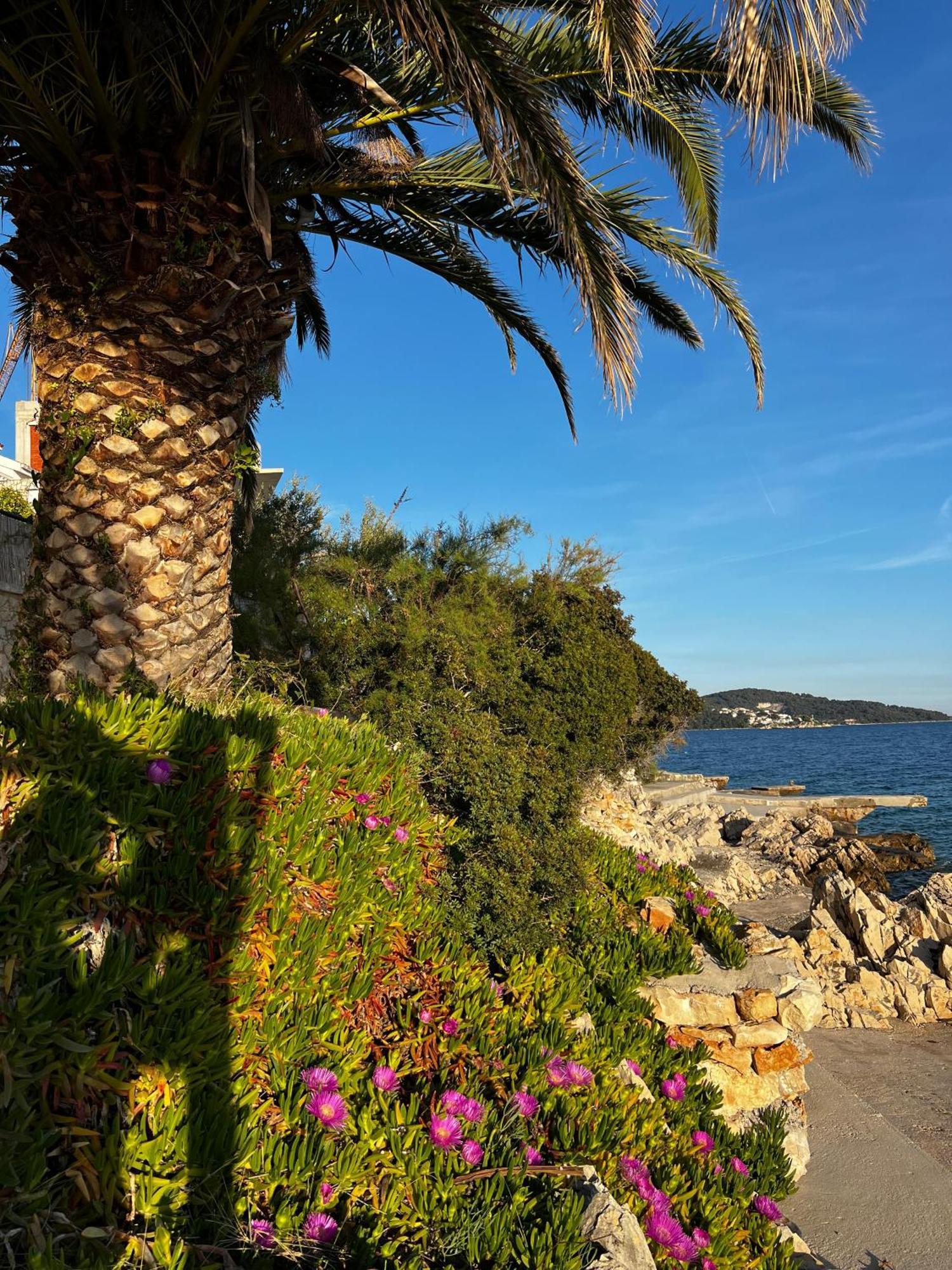 Villa Apartments Oliva Seget Vranjica Εξωτερικό φωτογραφία